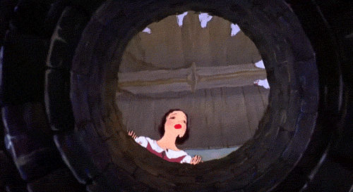 snow white wishing well